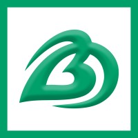 BTN Digital logo - Similar company to Recart Creative