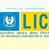 LIC Insurance Services logo - Similar company to Raikwar Insurance Services