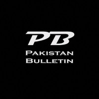 Pakistan Bulletin logo - Similar company to Pakistan Tribune