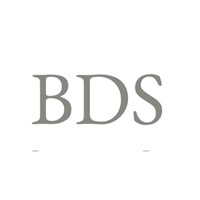BDS- Business Development Services logo - Similar company to Bds - Business Development Services Srl