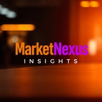 Market Nexus Insight logo - Similar company to Brightwave Pluse