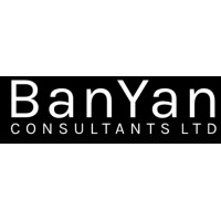 BANYAN CONSULTANTS LIMITED logo - Similar company to Banyan Dev