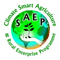 SAEP Grenada logo - Similar company to Grenada Education And Development Programme (Grened)