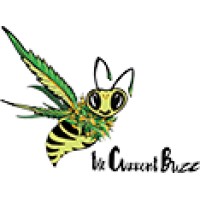 CannaVibesTV -- Oklahoma's Cannabis Television Network on Roku, Amazon Fire, and Apple TV. logo - Similar company to Bio-Hire