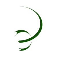 Digital Scorpions logo - Similar company to Avocado Labs