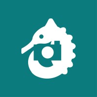 HippoCamera logo - Similar company to Dreamdirector.Ai
