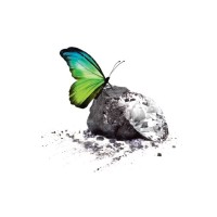 Negotiation Evolved logo - Similar company to Phoenix Mobility