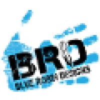 Blue Robin Designs, Llc