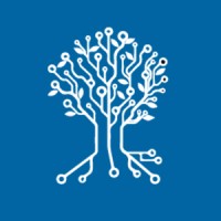 Netzer Consulting logo - Similar company to Im Projects