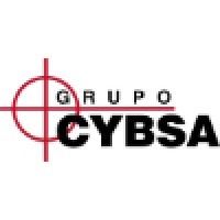 Cajas Y Bolsas Grupo Cybsa