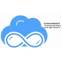 Brainzunlimited logo - Similar company to The Sme India