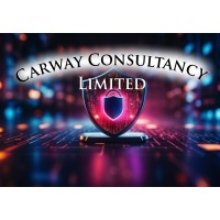 Carway Consultancy Ltd logo - Similar company to Network Notwork Cic