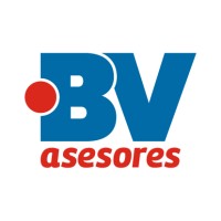 BV Asesores logo - Similar company to S2M Servicios Integrales