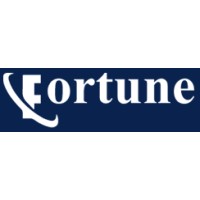 Fortune Business Systems logo - Similar company to Fortune Learning Systems