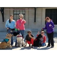 Dee the Dog Trainer logo - Similar company to Bfrb Dogs