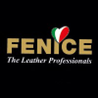 Fenice Care System S.p.A logo - Similar company to Fenice S.P.A.