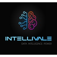 Intellivale logo - Similar company to The Ninety Five Group Pte. Ltd.