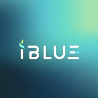iBLUE GROUP logo - Similar company to Hk Digital Solution