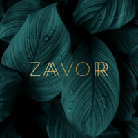 Zaavorr logo - Similar company to Improper Design + Animation