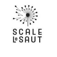 SCALE-LeSAUT logo - Similar company to The Centre For Sustainable Practice In The Arts