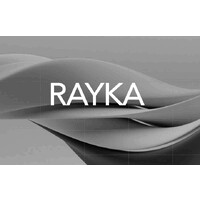 RAYKA logo - Similar company to Raykanet