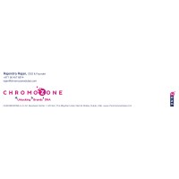 Chromozone LLC-FZ logo - Similar company to Sg Technology Consultants
