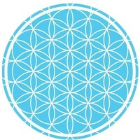 Novaterra, Associação Cultural Arte e Ambiente logo - Similar company to Mpmp Património Musical Vivo
