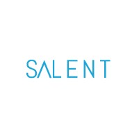 Salent AS logo - Similar company to Snap Drive As