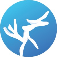Art4 Peace Foundation logo - Similar company to World Youth Group