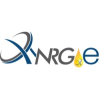 XYNRGIE Nutraceuticals Lanka [Pvt] Ltd logo - Similar company to Truemedx Bioceuticals