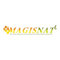 MAGISNAT logo - Similar company to Magi Group
