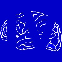 NeuroFour logo - Similar company to Bridge The Gap