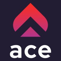 ACE Agency for Coders & Employers logo - Similar company to Mr. Shuttle