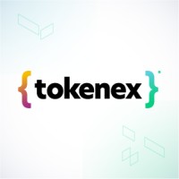 TokenEx logo - Similar company to Ixopay