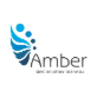 Amber Business Angels Network