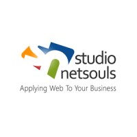 studio NetSouls logo - Similar company to Technomail Infosolutions