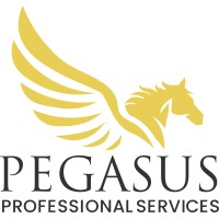 Pegasus Professional Services, LLC logo - Similar company to Pegasus Defense Solutions