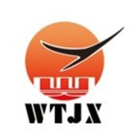 Shandong Wantong Hydraulic Co., Ltd. logo - Similar company to Fnx Group