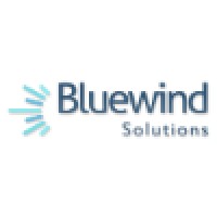 Bluewind Solutions Inc. logo - Similar company to Bluewinds