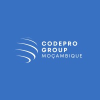 CodePro Group logo - Similar company to Olenvo Podcast
