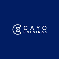 Cayo Holdings Private Limited logo - Similar company to Audit Finance