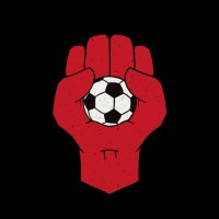 Sons of Pitches FC logo - Similar company to Pivoguard
