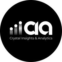 Crystal Insights & Analytics logo - Similar company to Cocountant