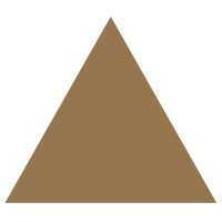 Tribal Mastermind logo - Similar company to Pulse Pixel