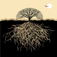 Roots Church logo - Similar company to Deck Doctor