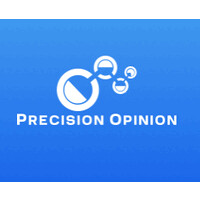 Precision Opinion logo - Similar company to Violet Insight