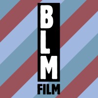 BLMFILM GMBH logo - Similar company to Tolk.Studio