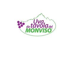 Monvisofruit logo - Similar company to Ortocal