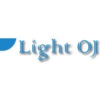 LightOJ logo - Similar company to Dataform