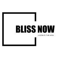 Bliss Now logo - Similar company to Bliss Now